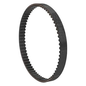 Light Bee Primary Belt