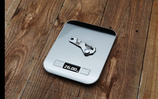 Storm Bee Key Holder
